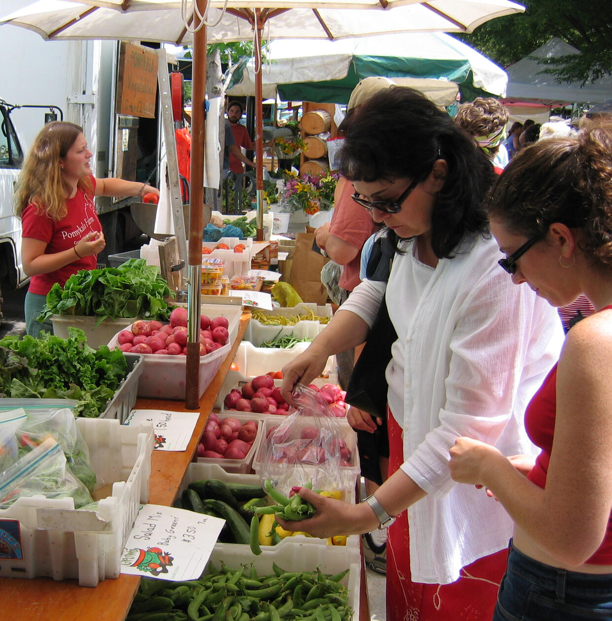 Crop Cash Plus makes Vermont farmers markets more affordable, but its funding is in question