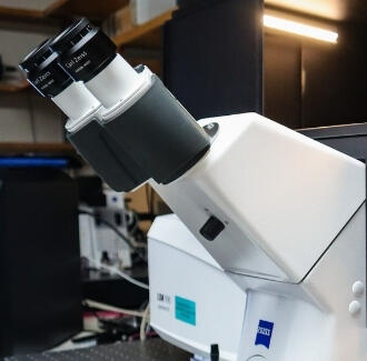 New Microscope to Illuminate the MBL’s Campus this Summer